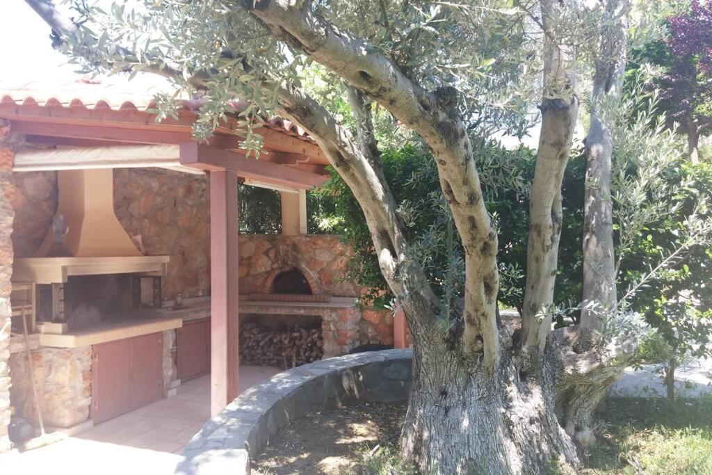 Seaside Villa Andronikos Amarynthos Exteriör bild