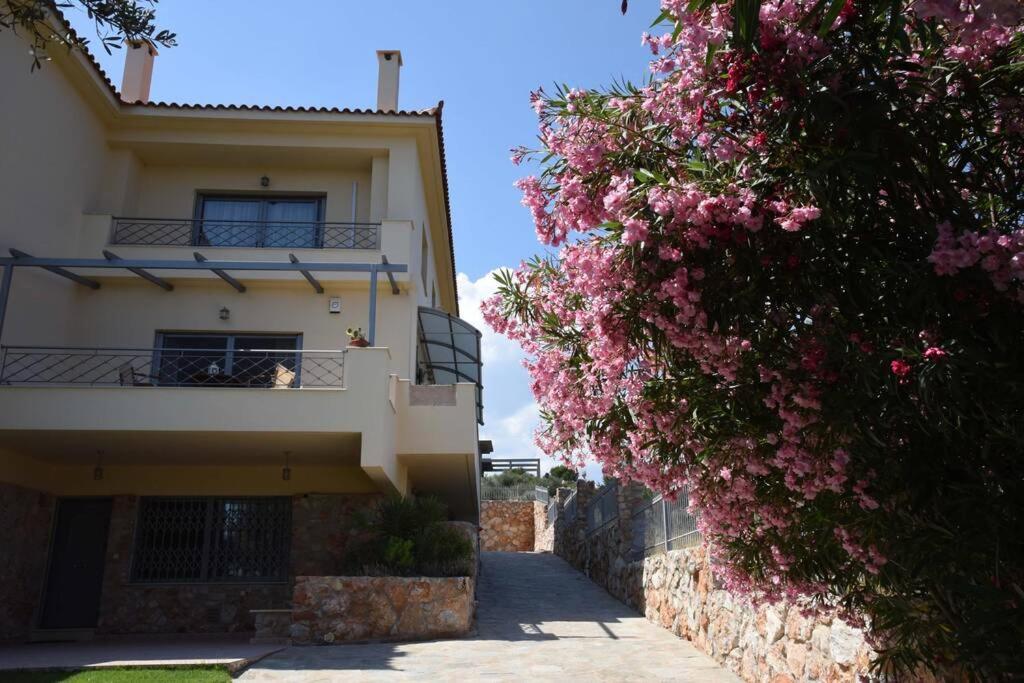 Seaside Villa Andronikos Amarynthos Exteriör bild
