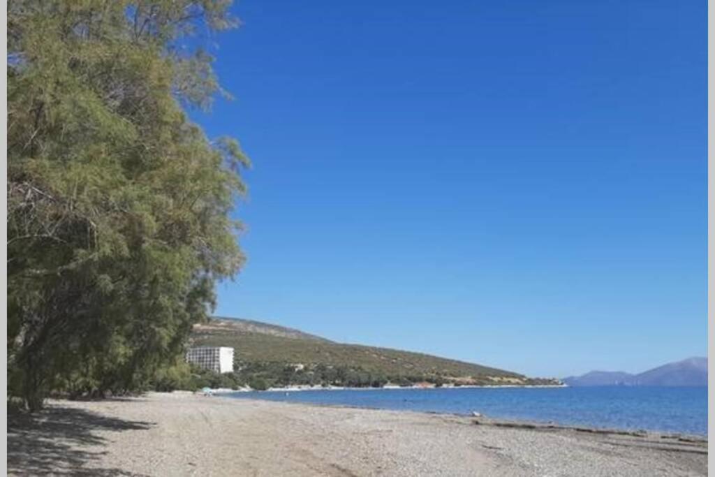 Seaside Villa Andronikos Amarynthos Exteriör bild
