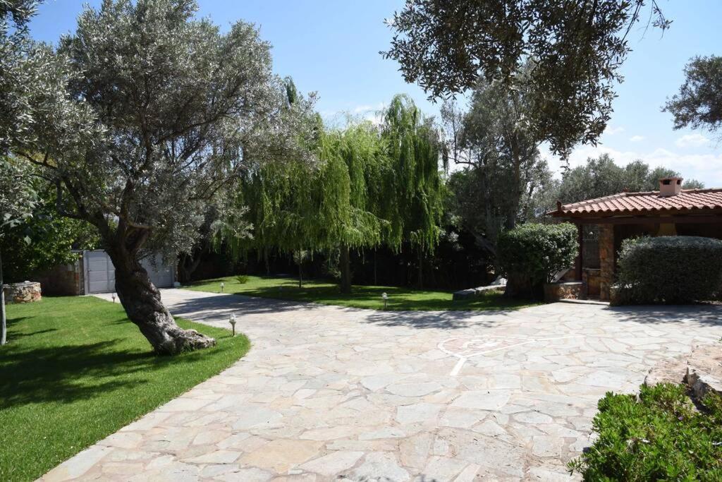 Seaside Villa Andronikos Amarynthos Exteriör bild