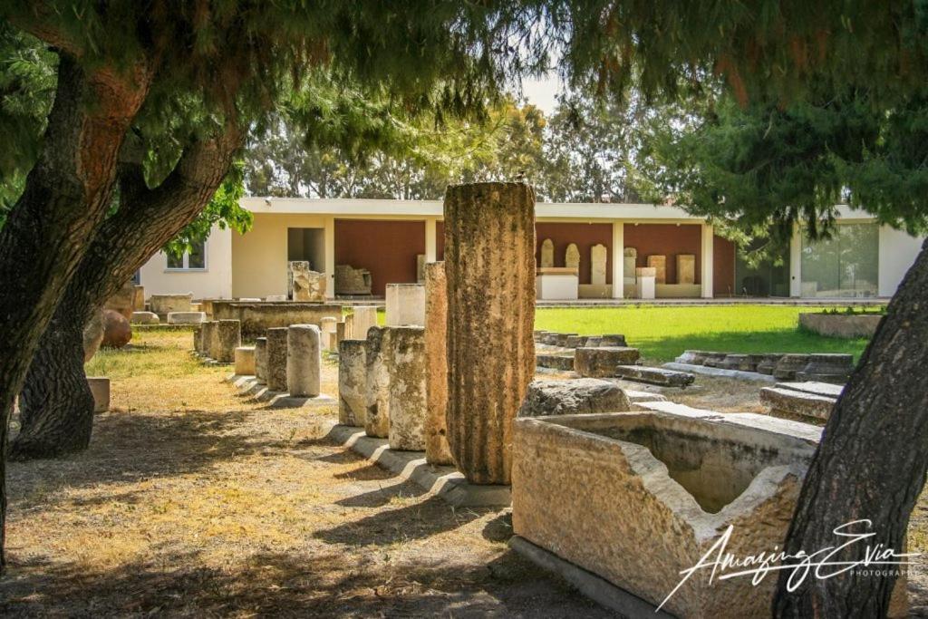 Seaside Villa Andronikos Amarynthos Exteriör bild