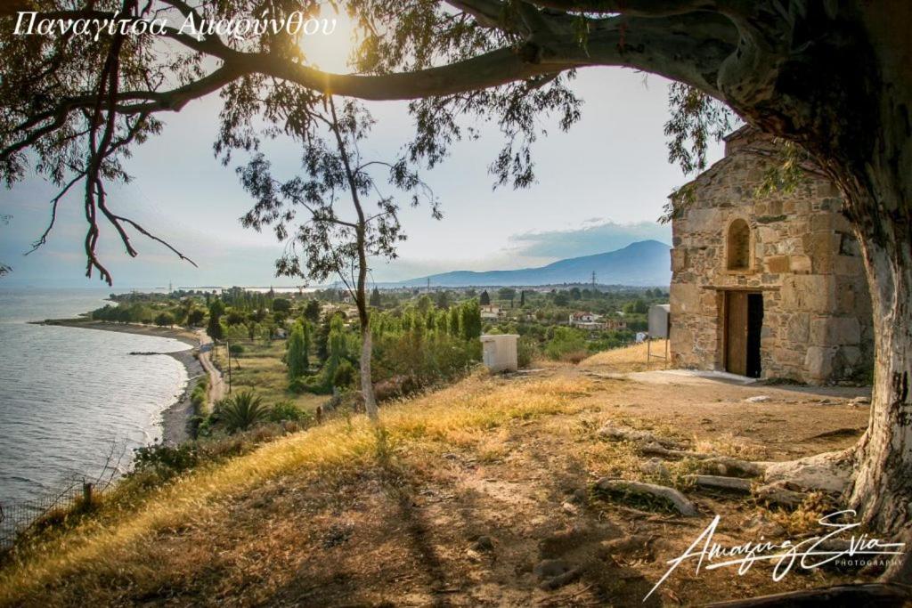 Seaside Villa Andronikos Amarynthos Exteriör bild